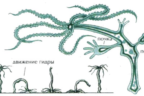 Кракен зеркало сайта
