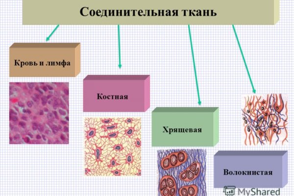 Что с кракеном сайт на сегодня