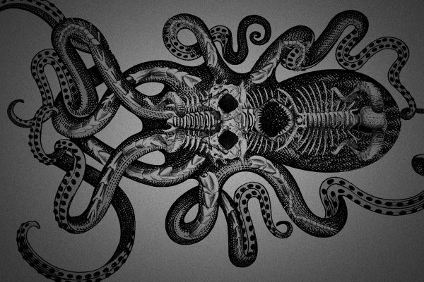 Kraken 26at