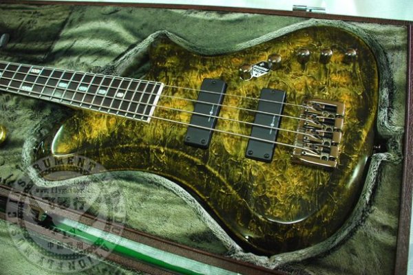 Kraken 6 at