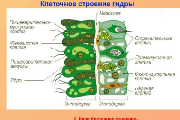 Актуальное зеркало на кракен