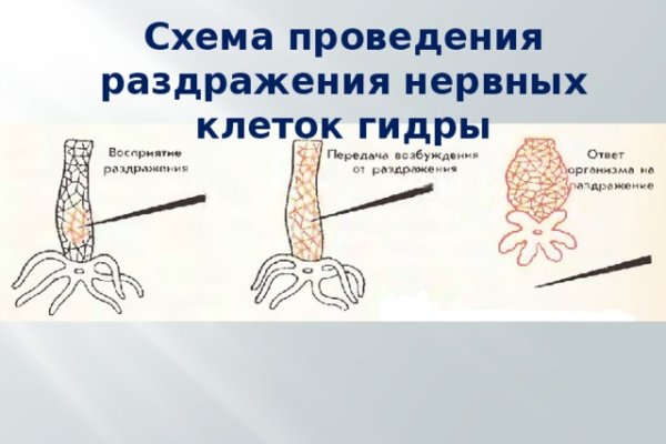 Кракен сайт нарк